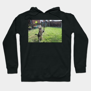 Anticipation Hoodie